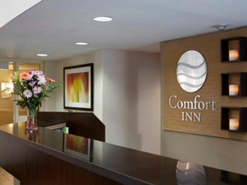 Comfort Inn Swift Current Luaran gambar